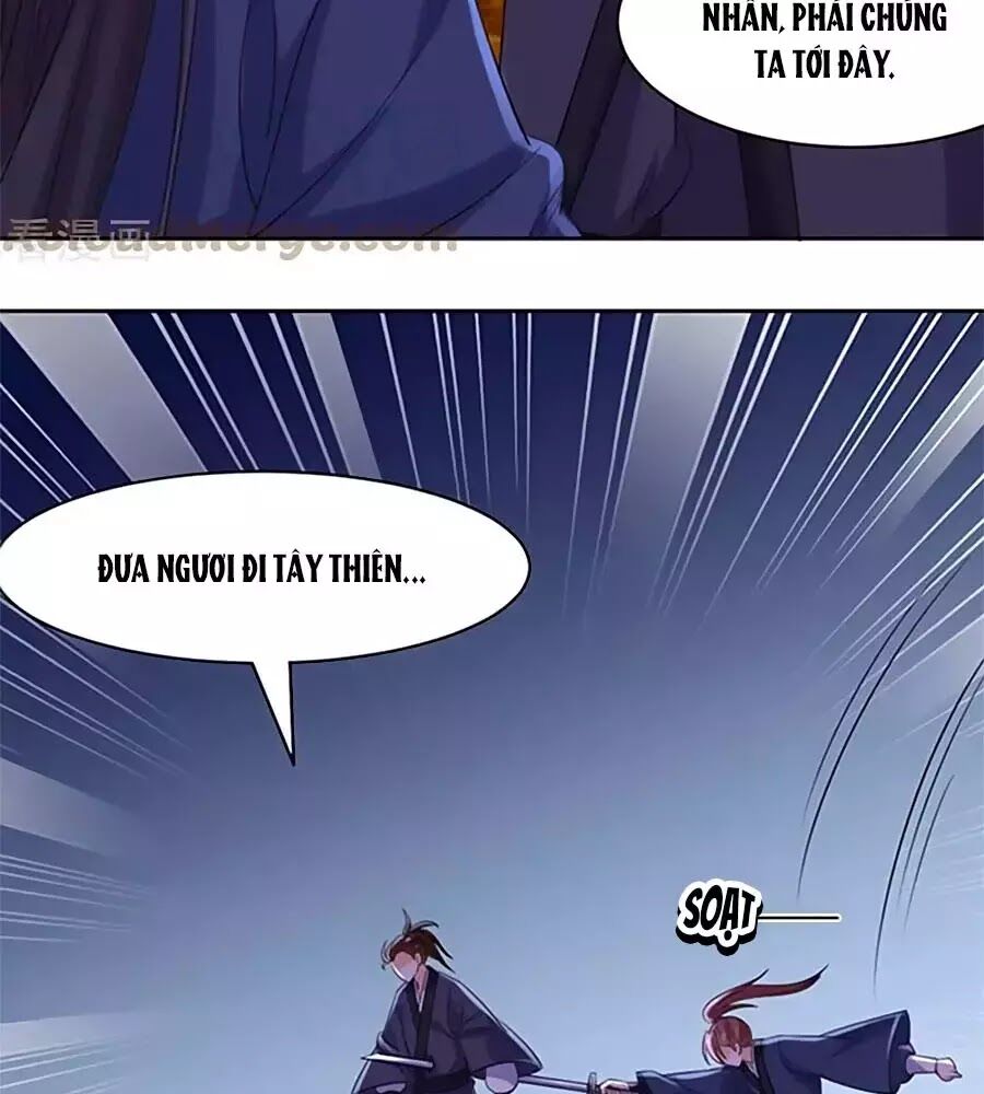 Vương Gia Là Đầu Đại Lão Hổ: Chapter 71