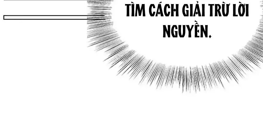 Vương Gia Là Đầu Đại Lão Hổ: Chapter 71