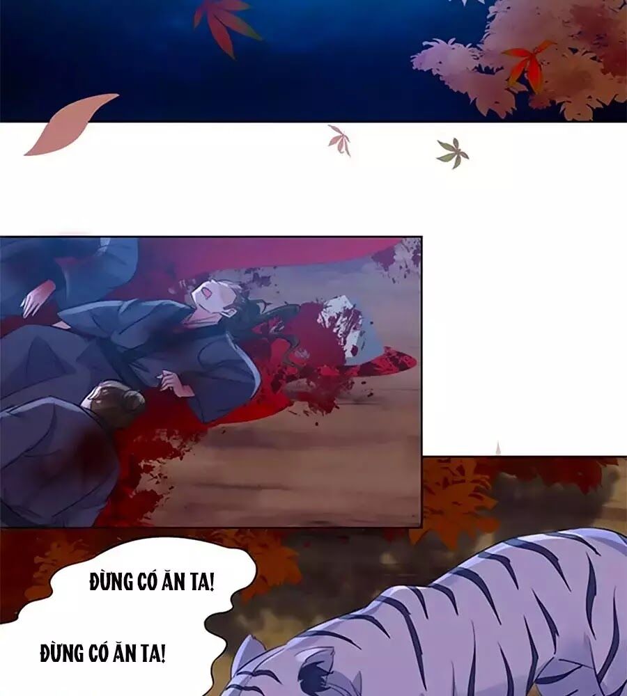Vương Gia Là Đầu Đại Lão Hổ: Chapter 71