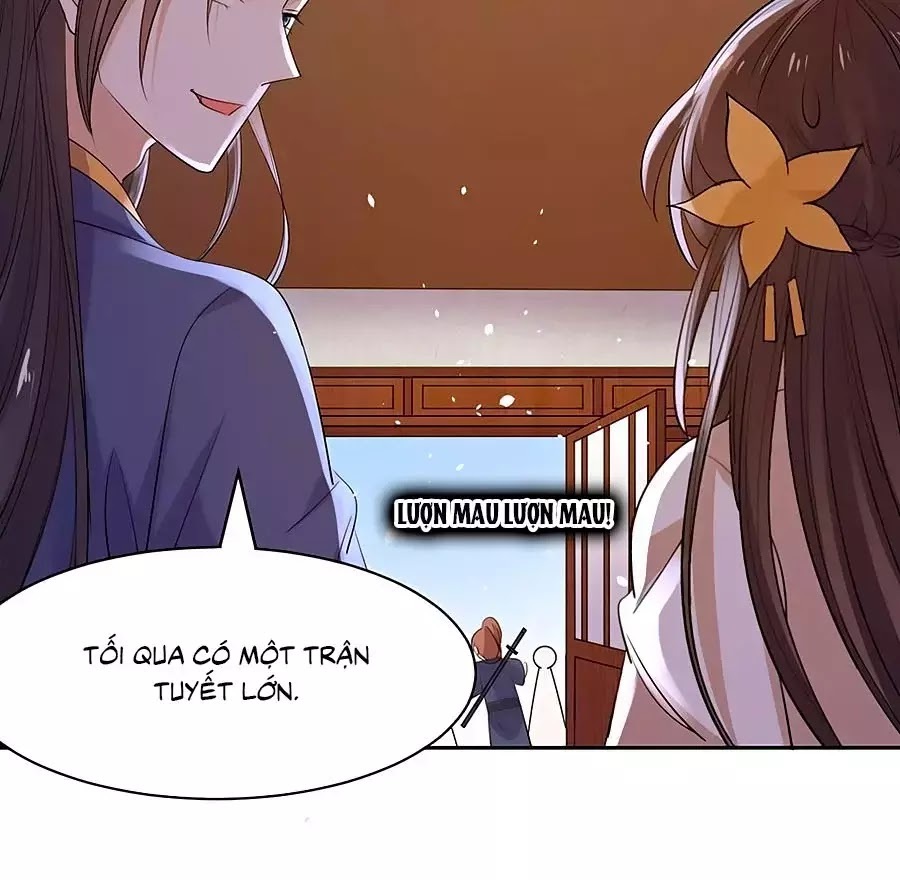 Vương Gia Là Đầu Đại Lão Hổ: Chapter 72
