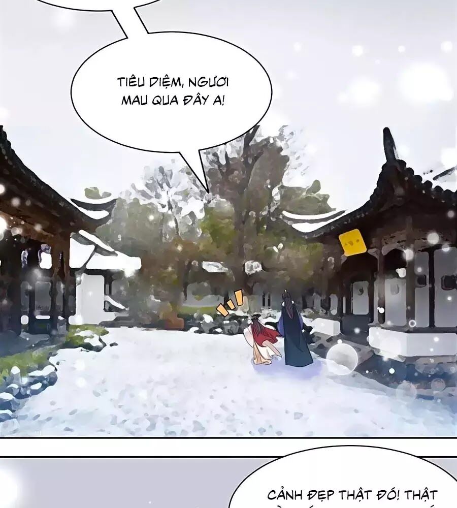 Vương Gia Là Đầu Đại Lão Hổ: Chapter 73
