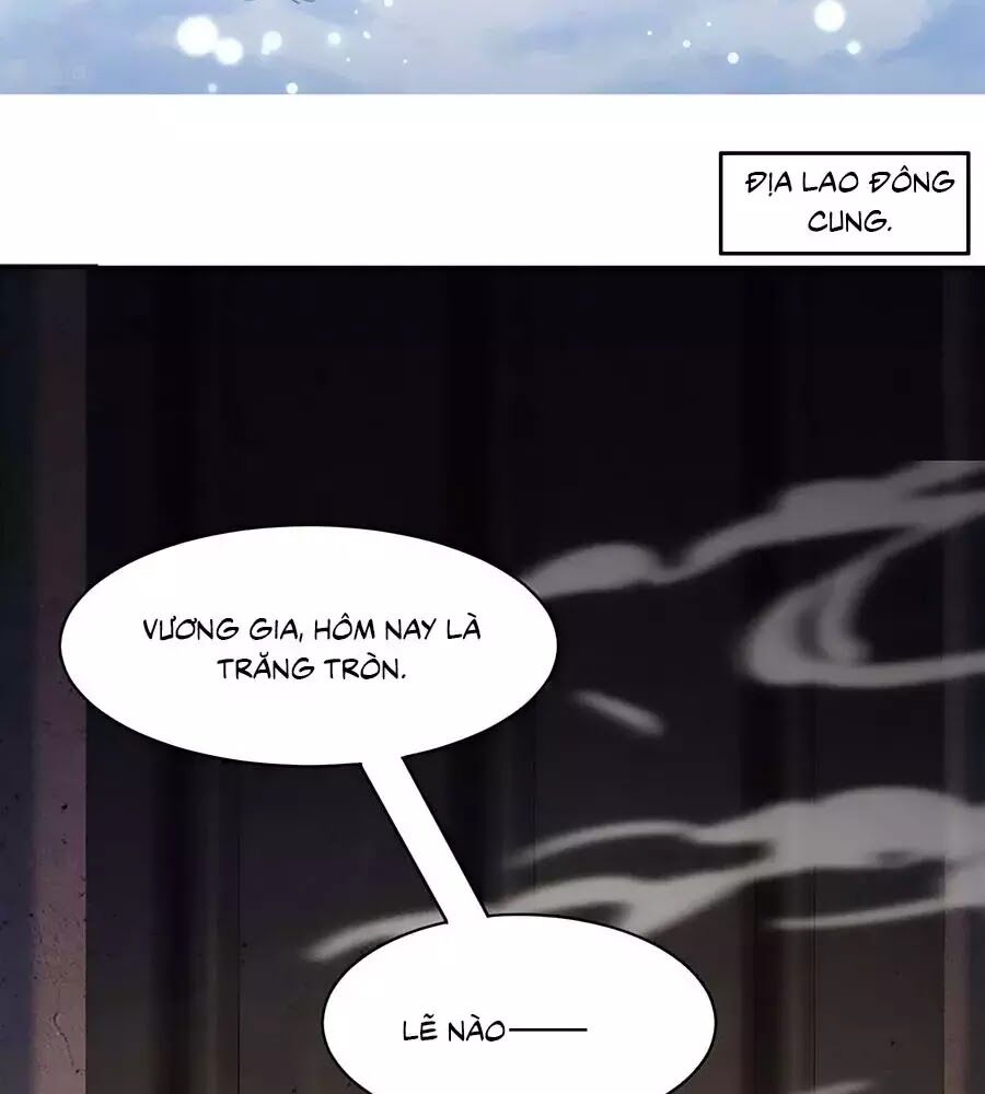 Vương Gia Là Đầu Đại Lão Hổ: Chapter 73