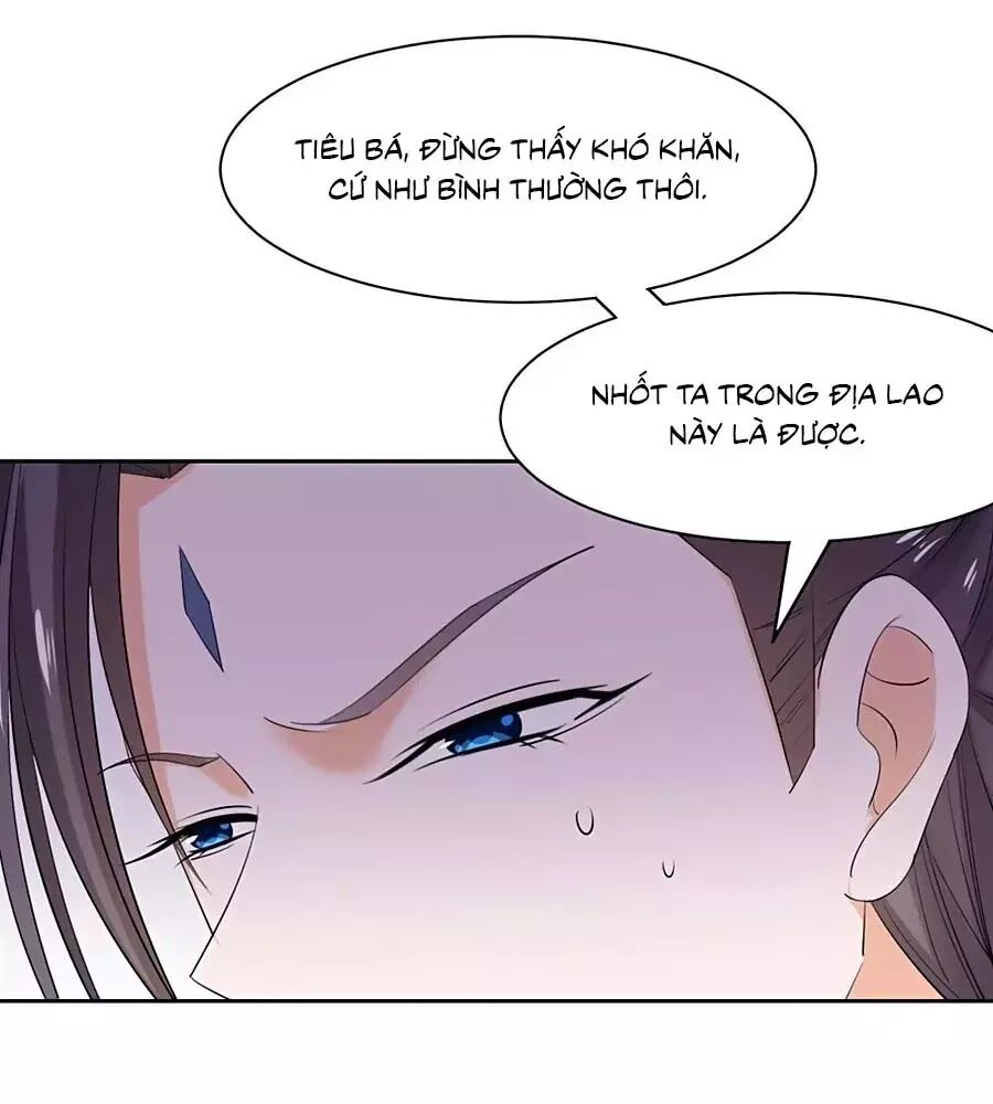 Vương Gia Là Đầu Đại Lão Hổ: Chapter 73