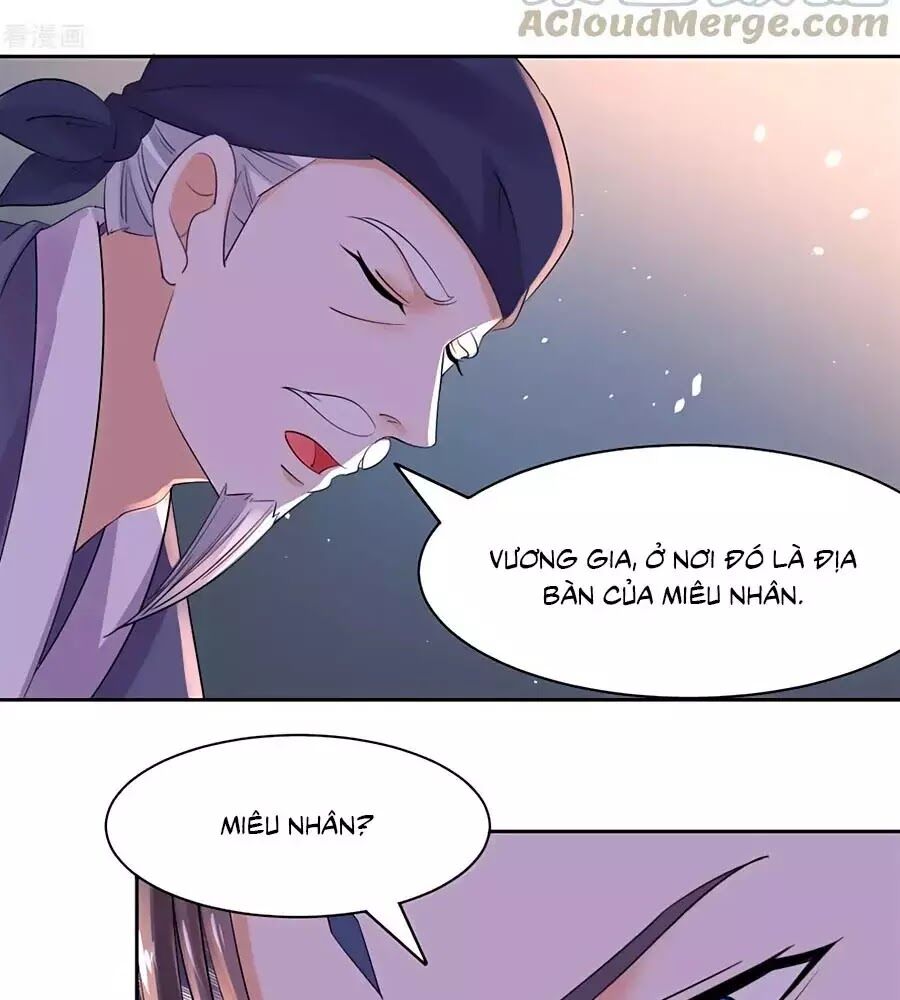 Vương Gia Là Đầu Đại Lão Hổ: Chapter 73