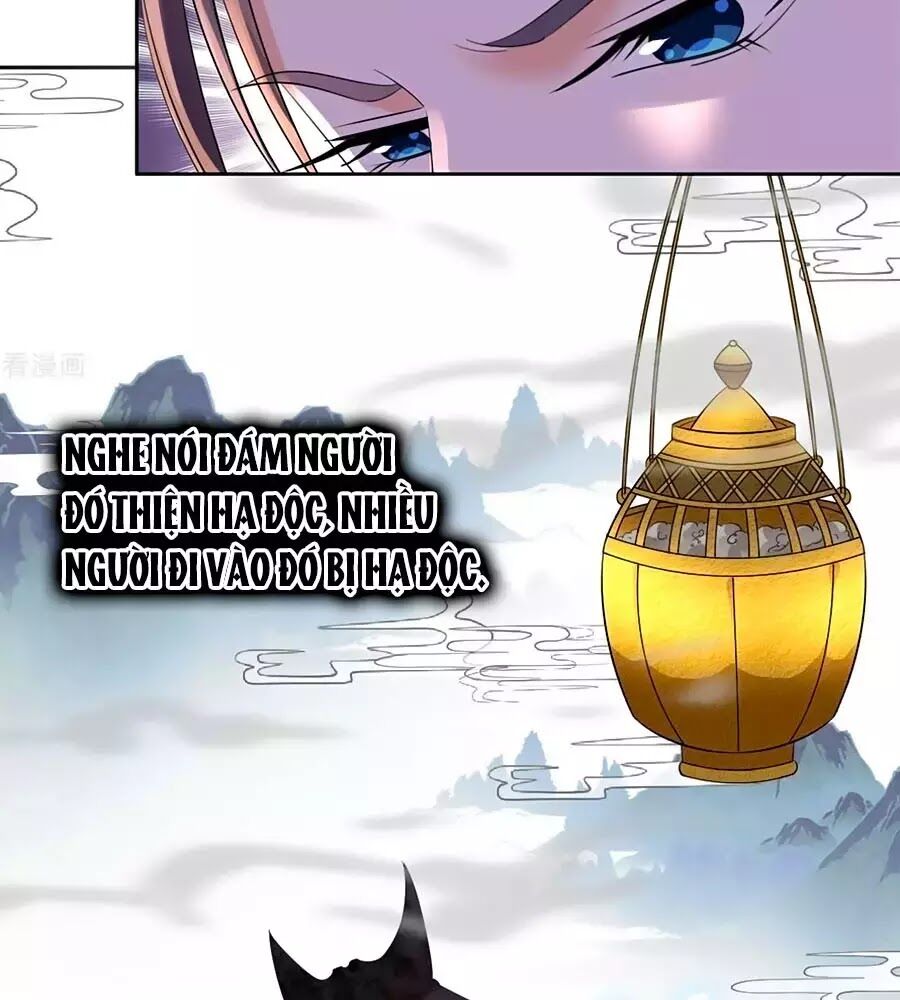 Vương Gia Là Đầu Đại Lão Hổ: Chapter 73