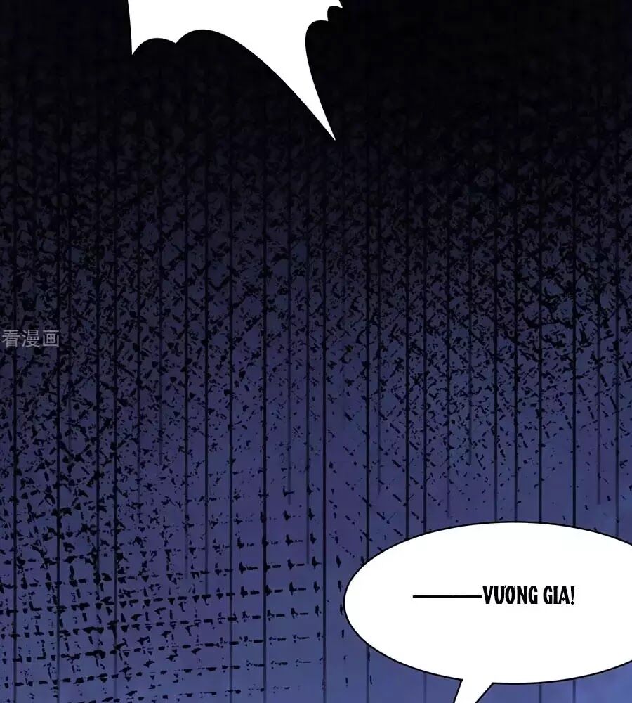 Vương Gia Là Đầu Đại Lão Hổ: Chapter 73