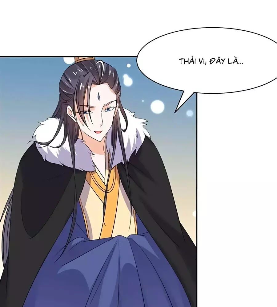 Vương Gia Là Đầu Đại Lão Hổ: Chapter 73