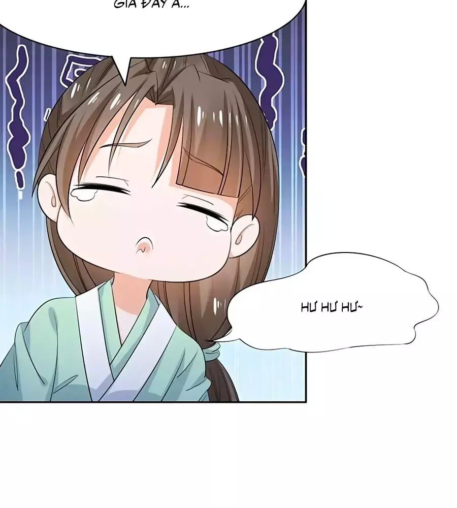 Vương Gia Là Đầu Đại Lão Hổ: Chapter 74