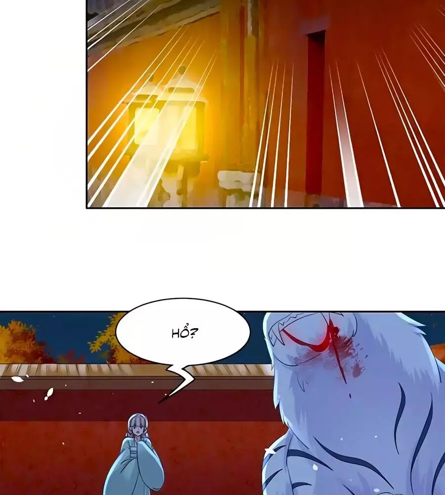 Vương Gia Là Đầu Đại Lão Hổ: Chapter 74