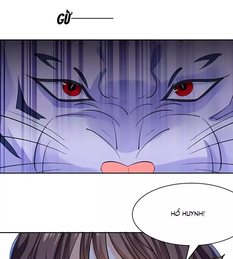 Vương Gia Là Đầu Đại Lão Hổ: Chapter 74