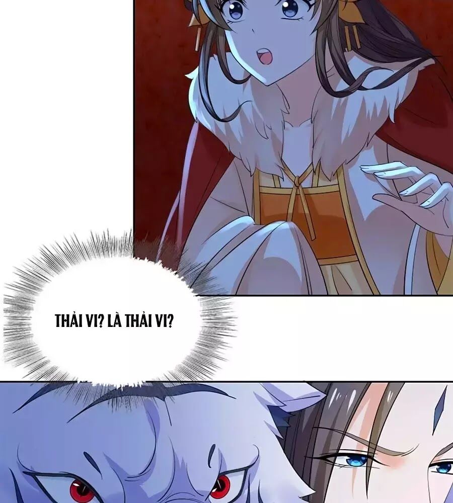 Vương Gia Là Đầu Đại Lão Hổ: Chapter 74