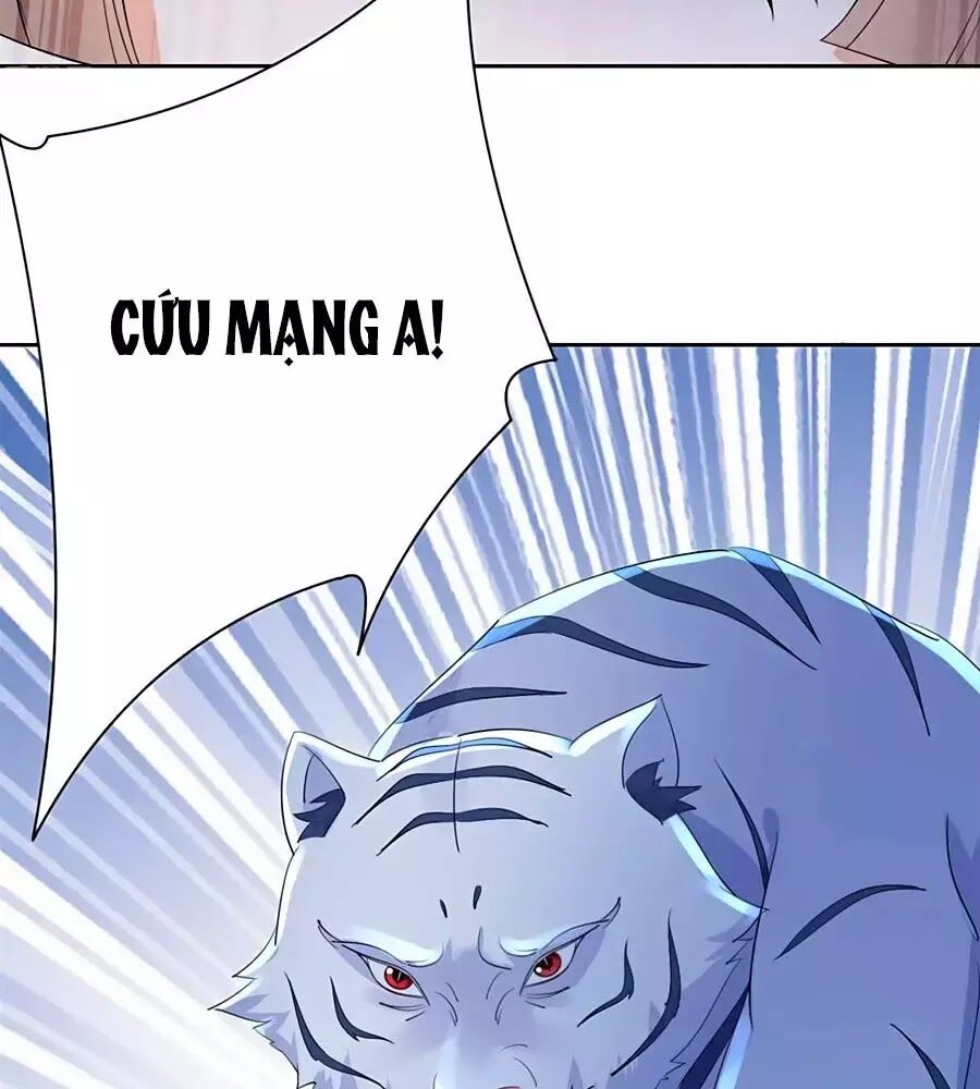 Vương Gia Là Đầu Đại Lão Hổ: Chapter 74