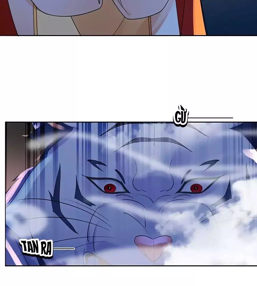 Vương Gia Là Đầu Đại Lão Hổ: Chapter 74