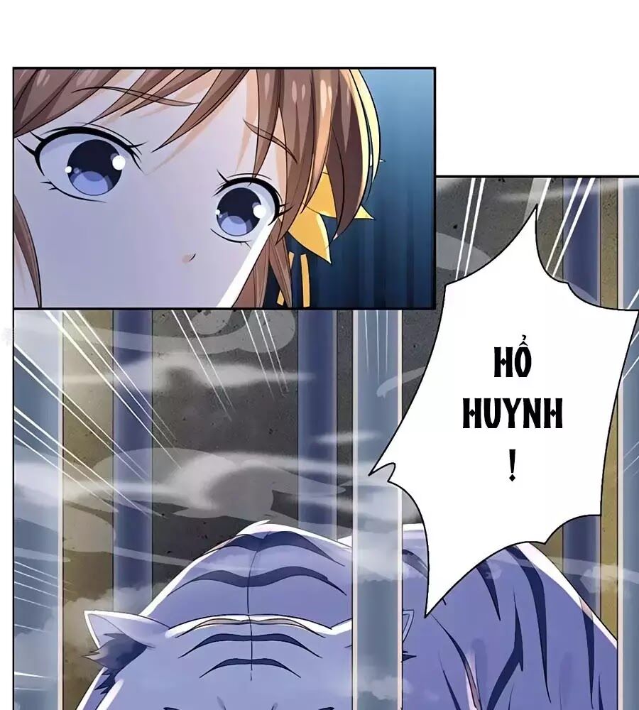 Vương Gia Là Đầu Đại Lão Hổ: Chapter 74