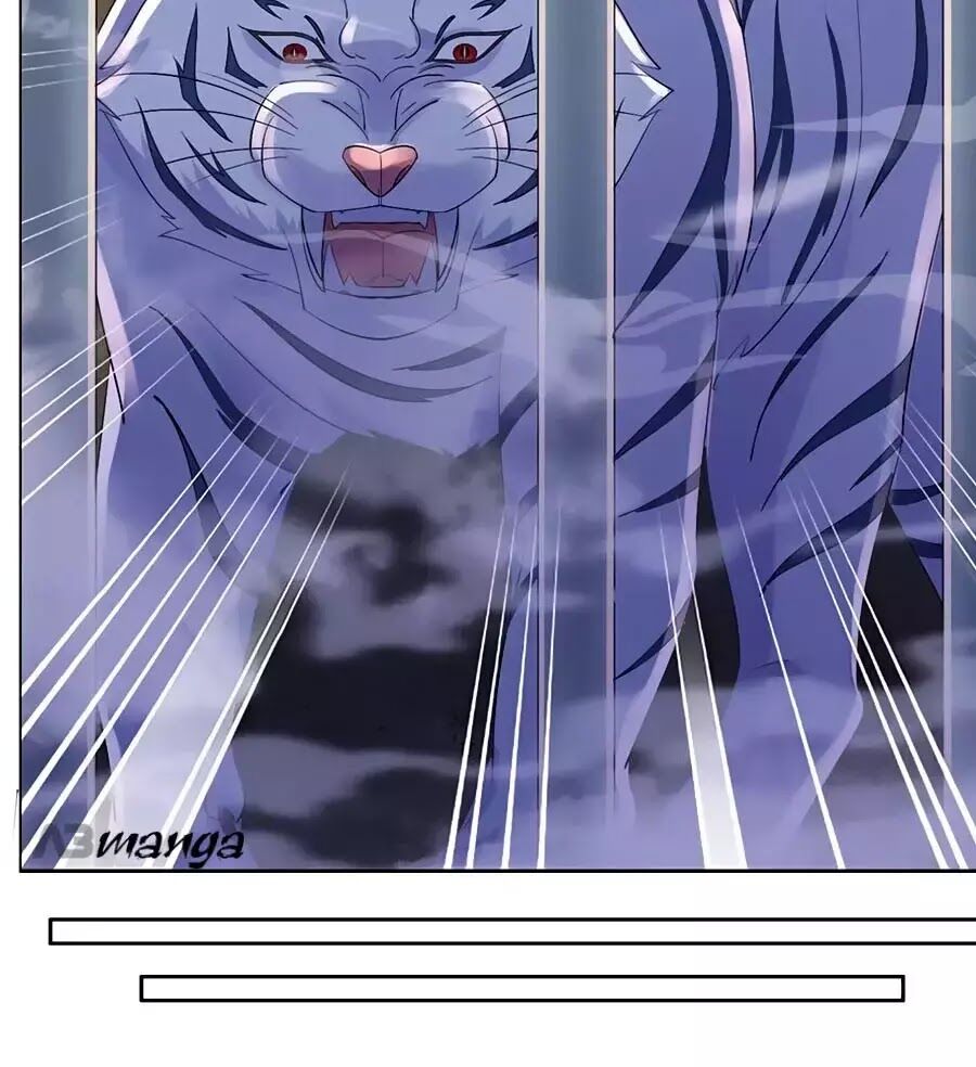 Vương Gia Là Đầu Đại Lão Hổ: Chapter 74