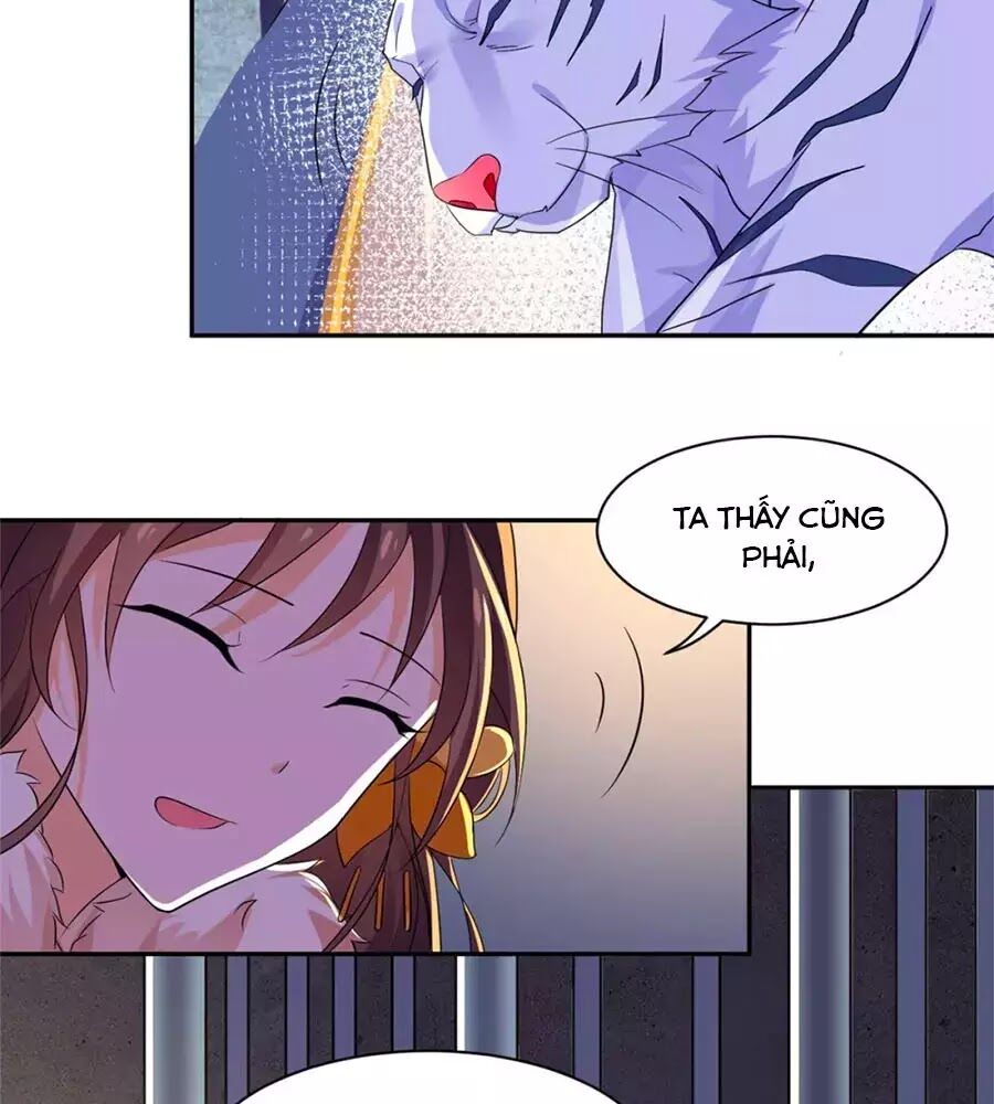Vương Gia Là Đầu Đại Lão Hổ: Chapter 75