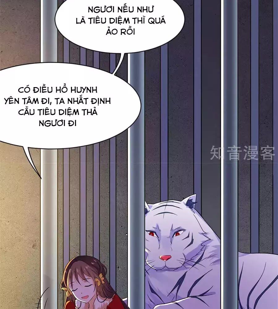 Vương Gia Là Đầu Đại Lão Hổ: Chapter 75