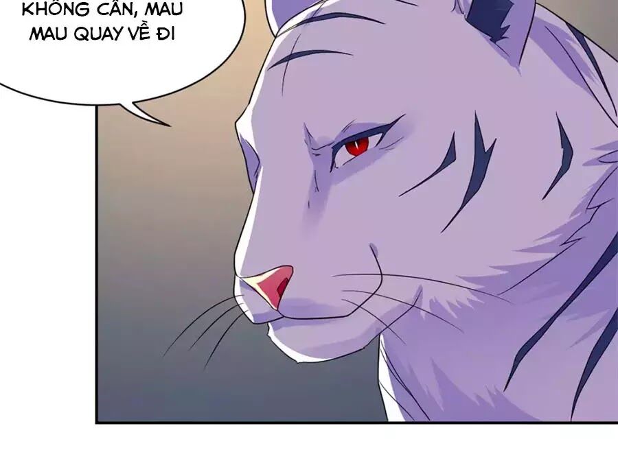 Vương Gia Là Đầu Đại Lão Hổ: Chapter 75
