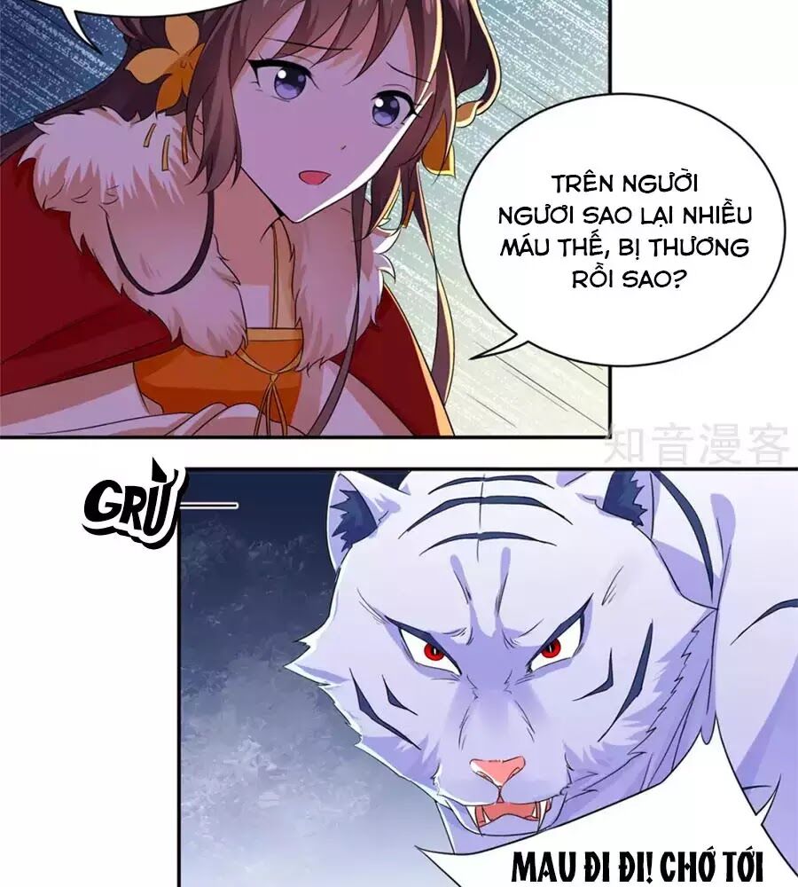 Vương Gia Là Đầu Đại Lão Hổ: Chapter 75