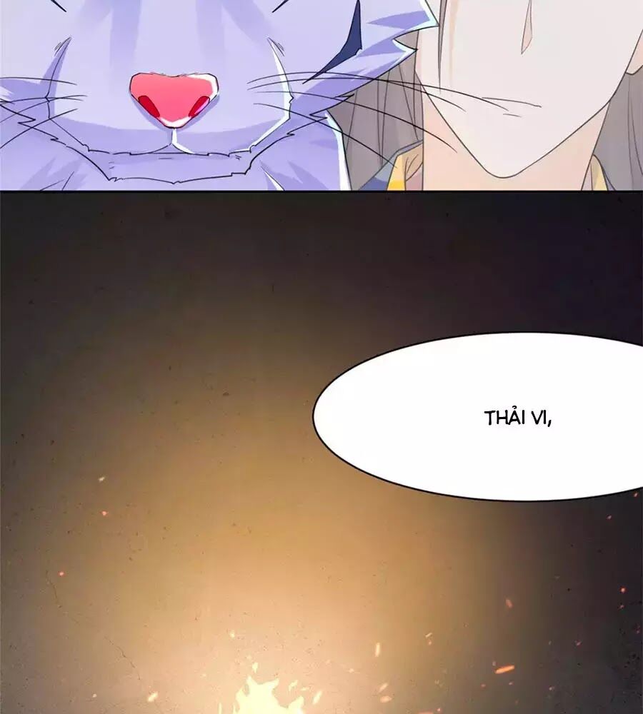 Vương Gia Là Đầu Đại Lão Hổ: Chapter 75