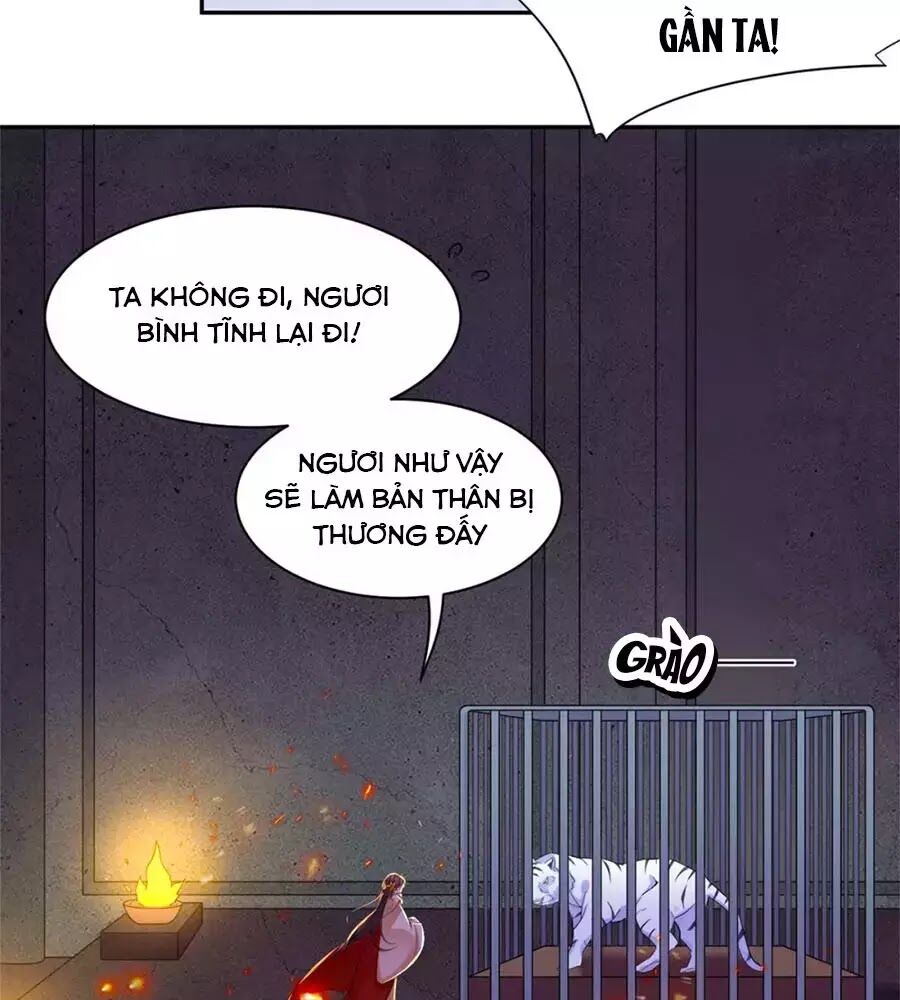 Vương Gia Là Đầu Đại Lão Hổ: Chapter 75