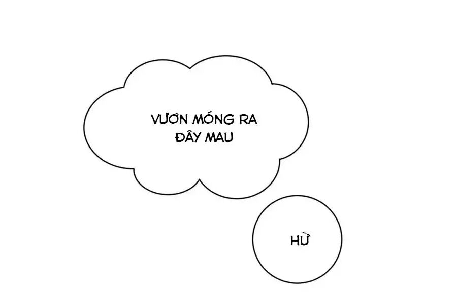 Vương Gia Là Đầu Đại Lão Hổ: Chapter 75