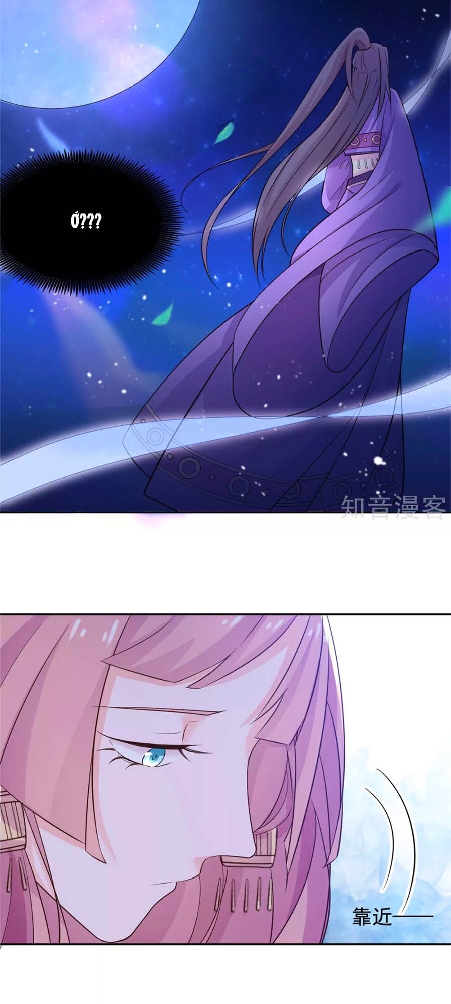 Vương Gia Là Đầu Đại Lão Hổ: Chapter 84