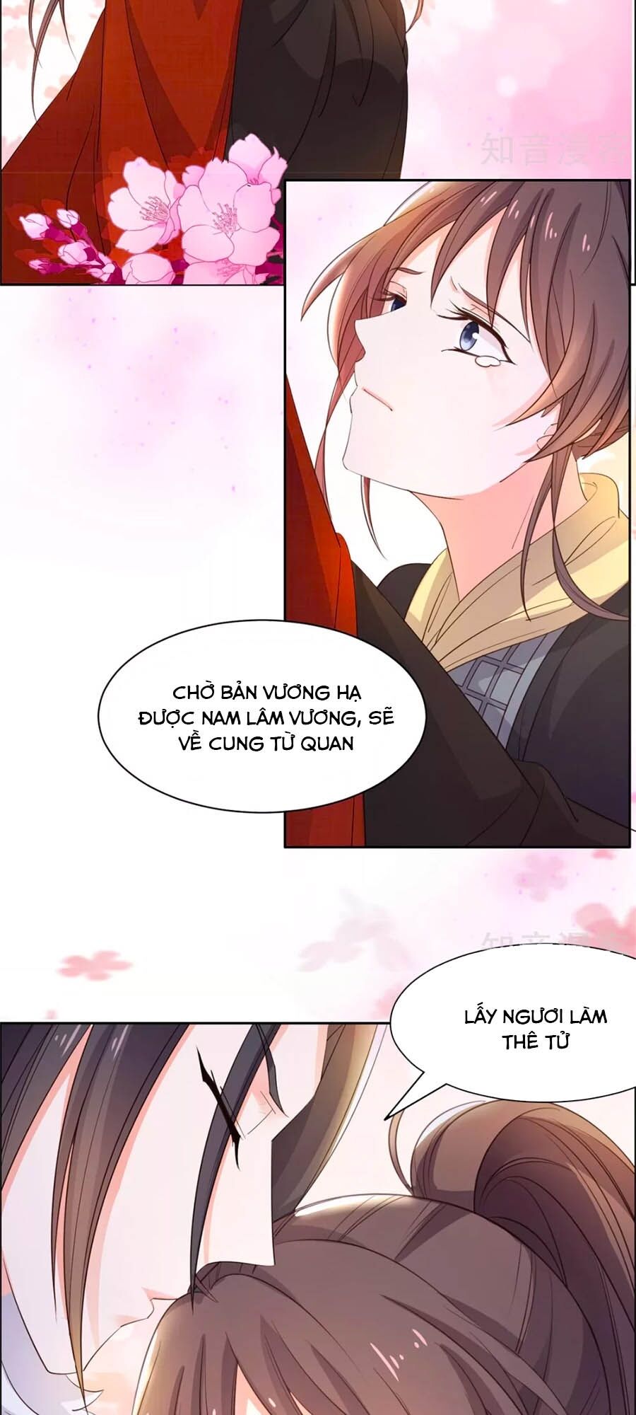 Vương Gia Là Đầu Đại Lão Hổ: Chapter 86
