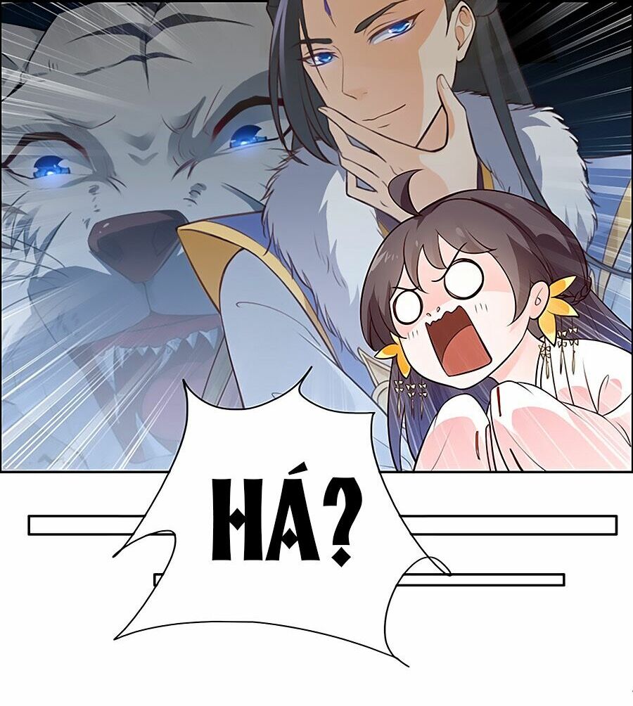 Vương Gia Là Đầu Đại Lão Hổ: Chapter 9
