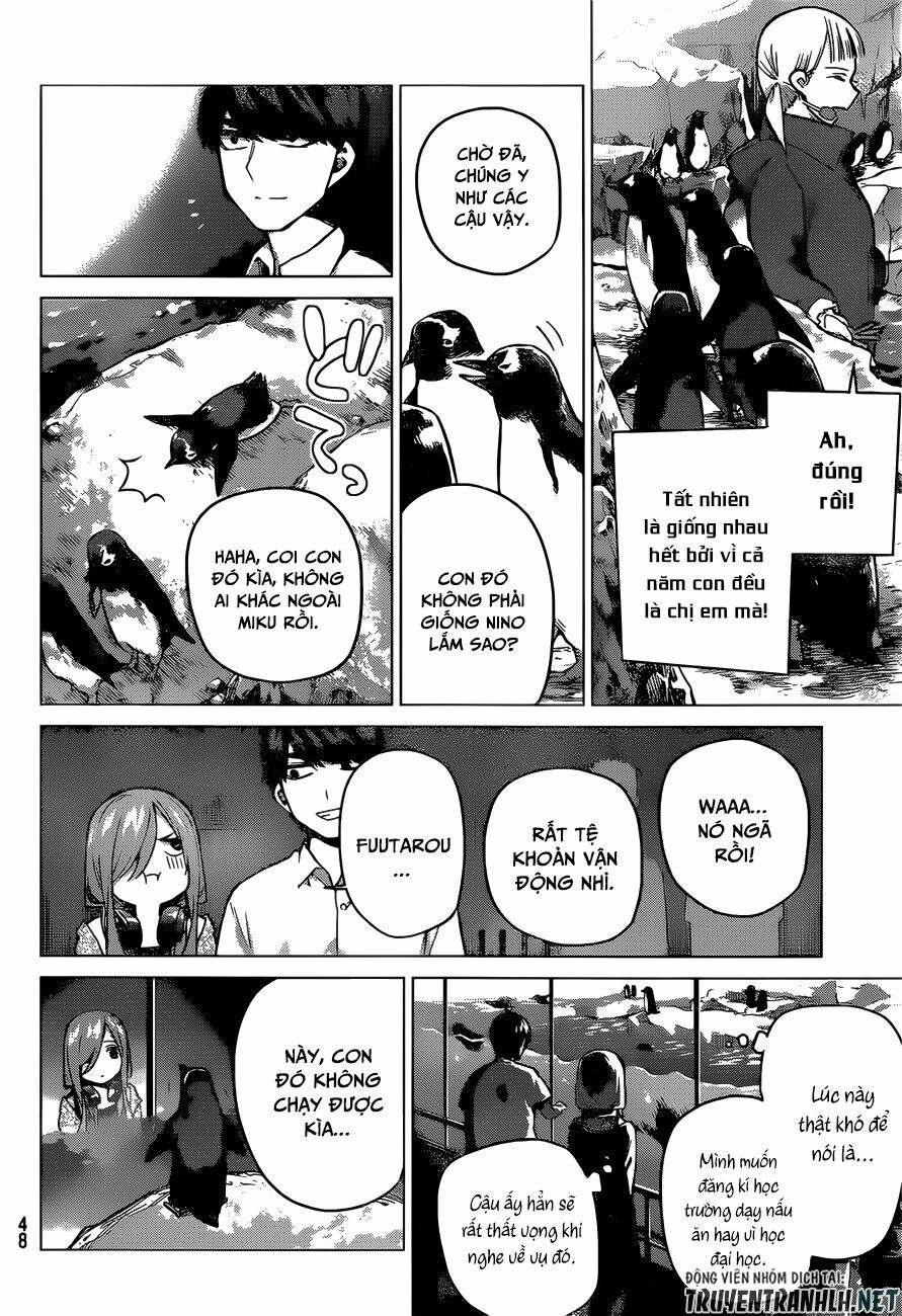 The Five Wedded Brides: Chapter 98