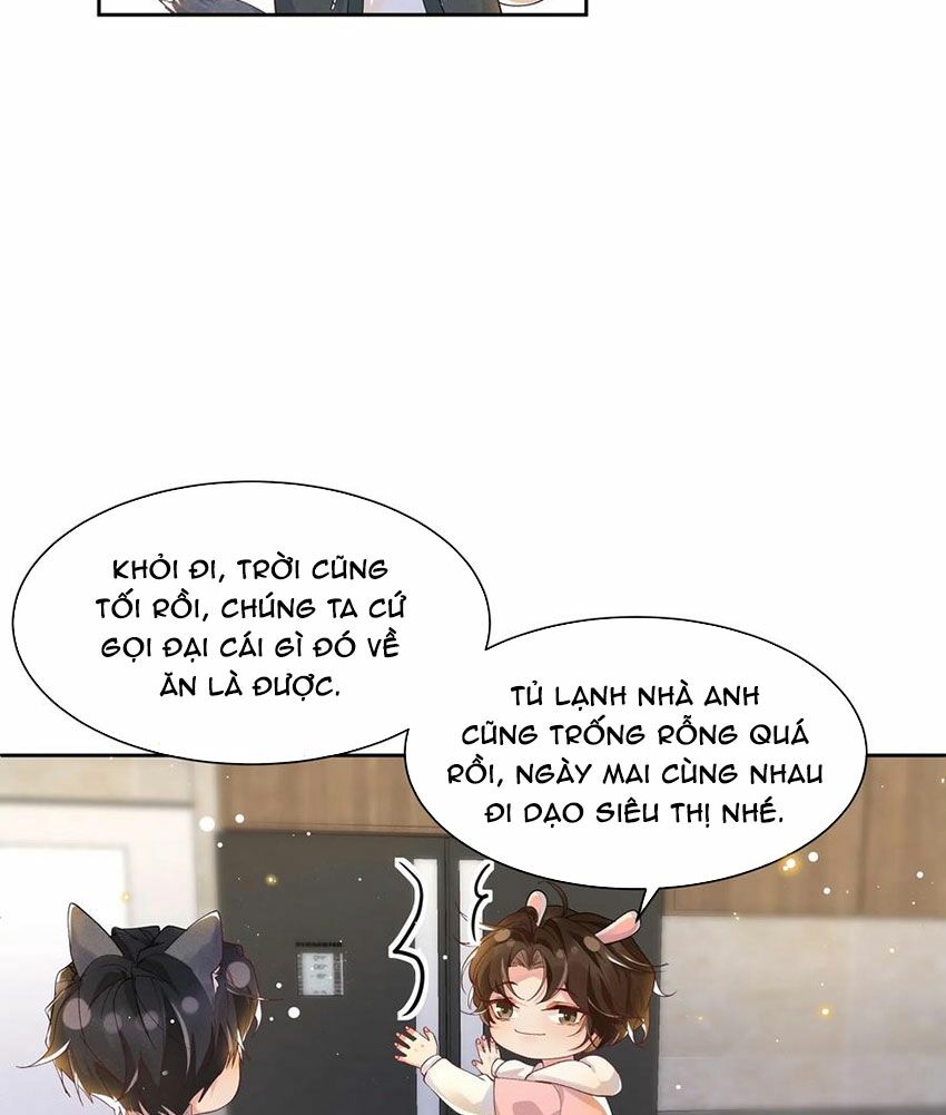 Nhiệt độ xã giao: Chapter 38.5