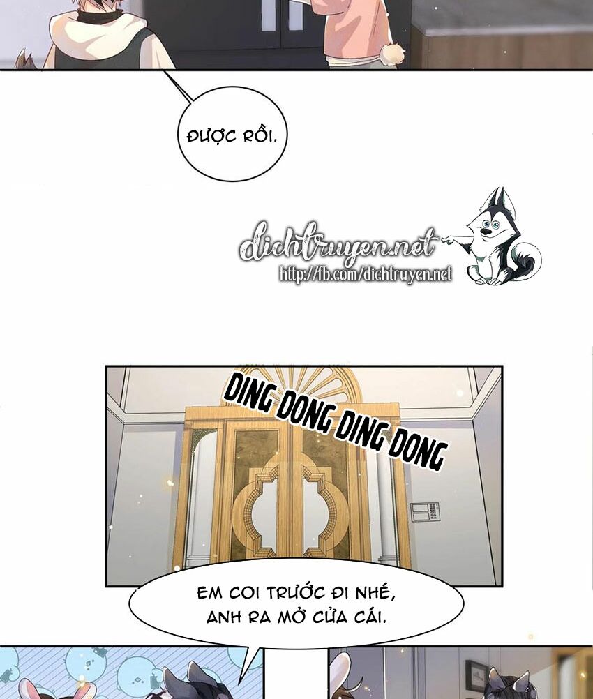 Nhiệt độ xã giao: Chapter 38.5