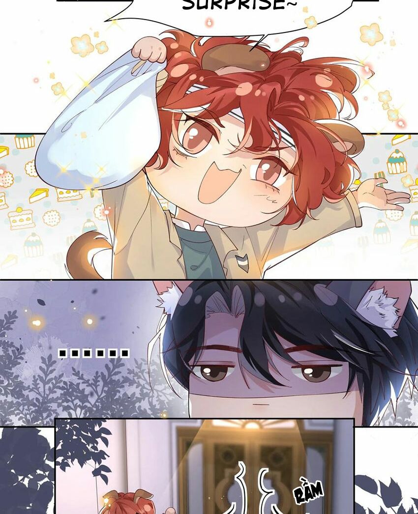 Nhiệt độ xã giao: Chapter 38.5