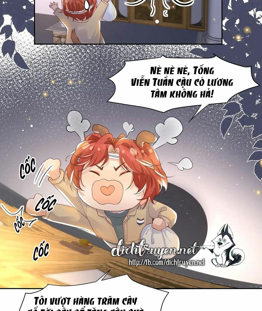 Nhiệt độ xã giao: Chapter 38.5