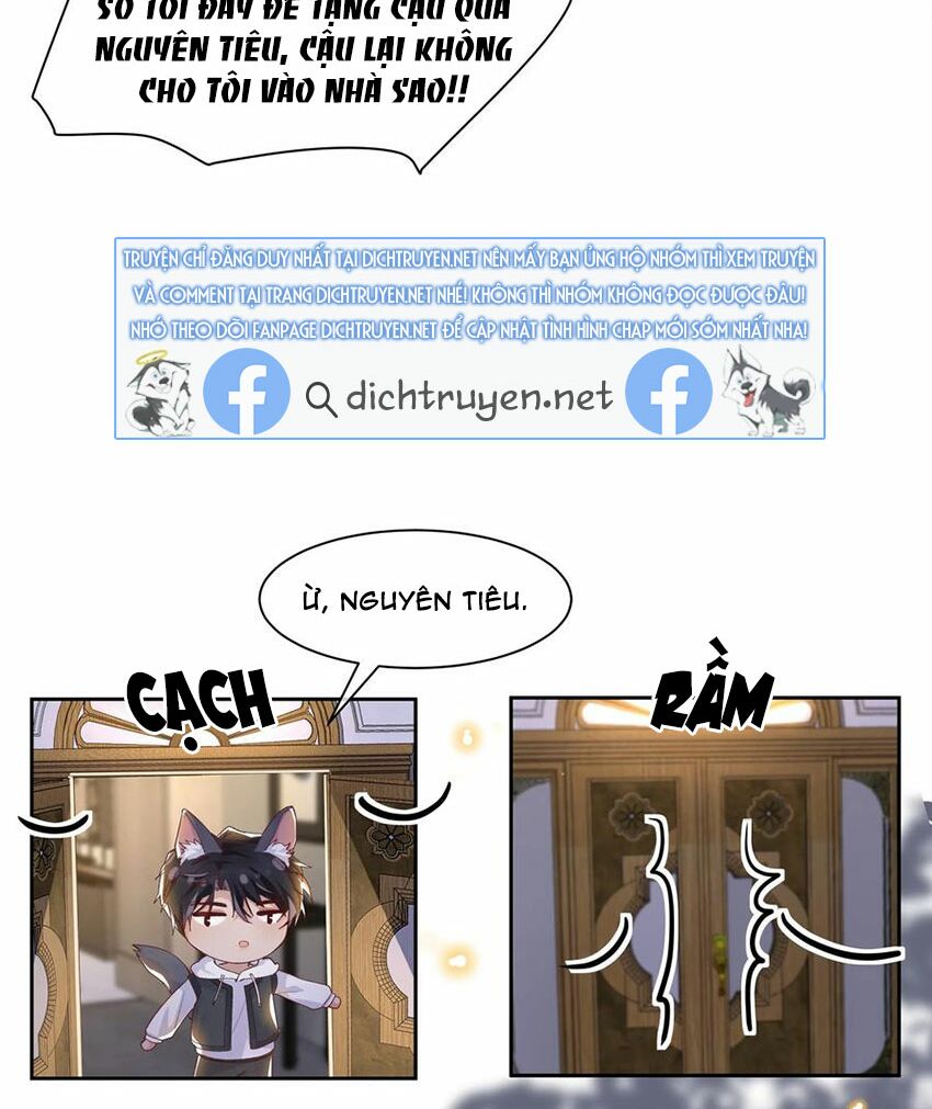 Nhiệt độ xã giao: Chapter 38.5