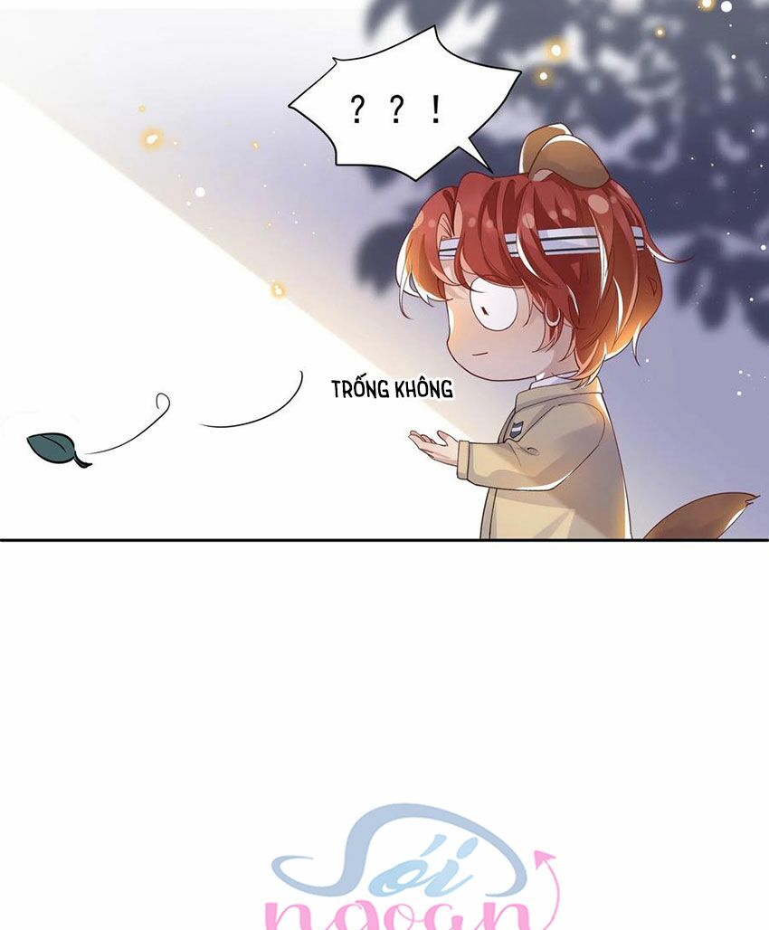 Nhiệt độ xã giao: Chapter 38.5