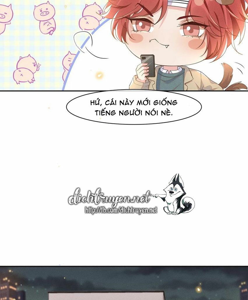 Nhiệt độ xã giao: Chapter 38.5