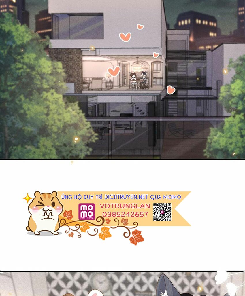 Nhiệt độ xã giao: Chapter 38.5