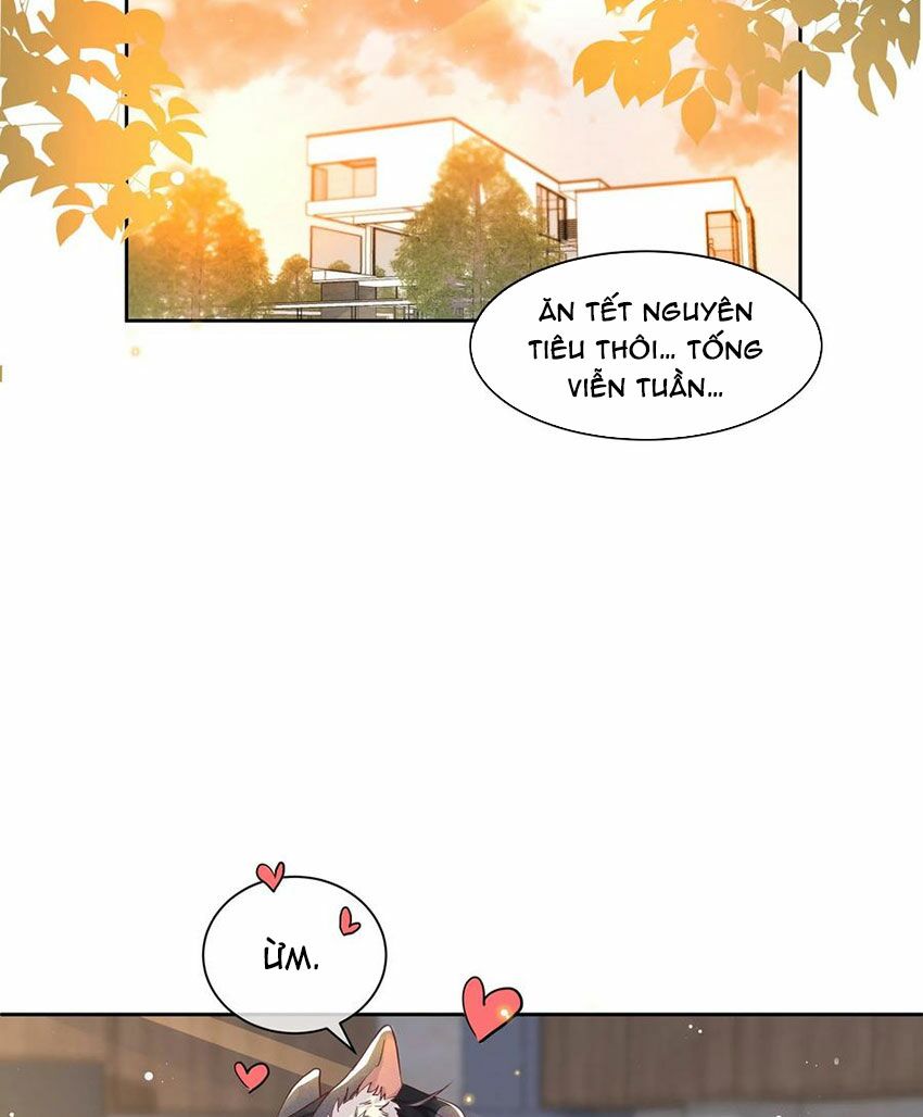 Nhiệt độ xã giao: Chapter 38.5