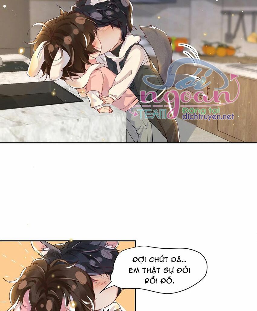 Nhiệt độ xã giao: Chapter 38.5