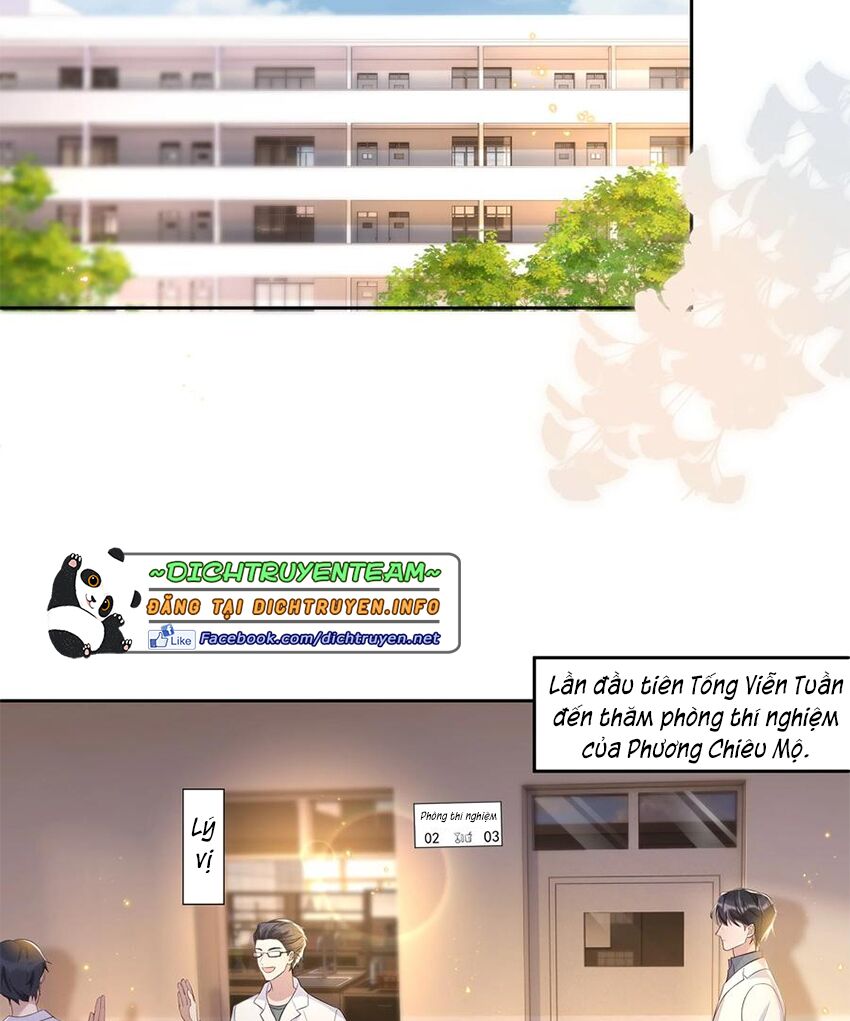 Nhiệt độ xã giao: Chapter 61: (End)