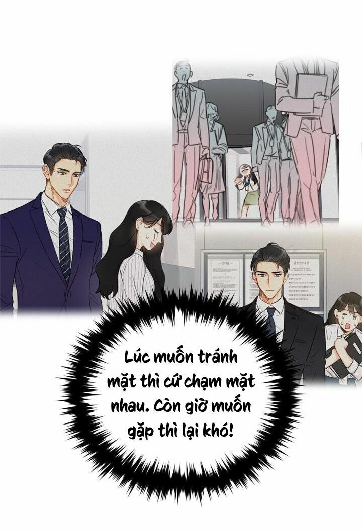 Hẹn Hò Nơi Công Sở: Chapter 49