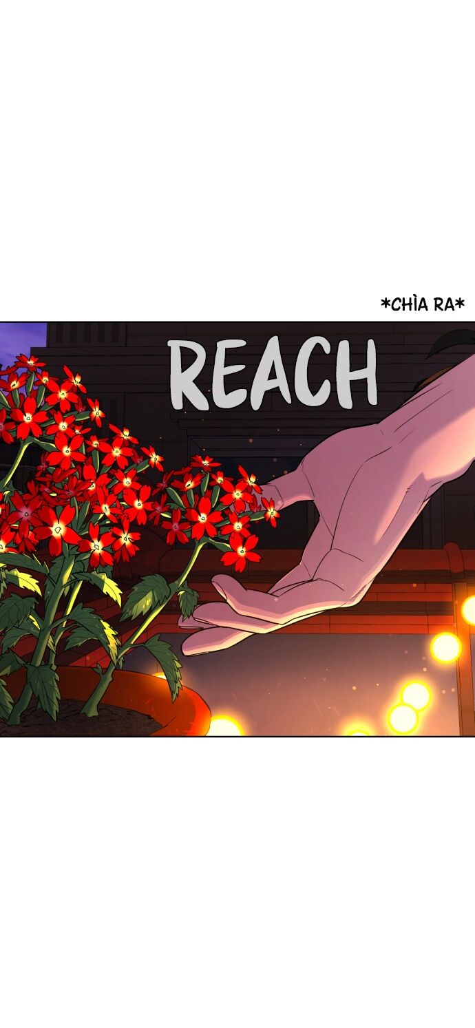 Máu trắng: Chapter 38