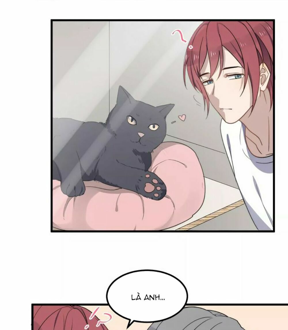 Cận Kề Tiếp Xúc: Chapter 43
