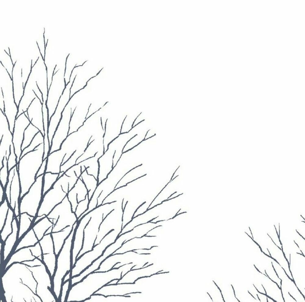 Cận Kề Tiếp Xúc: Chapter 71