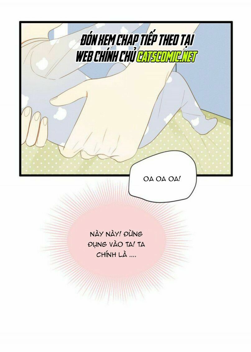 Sinh Hạ Long Chủng: Chapter 1