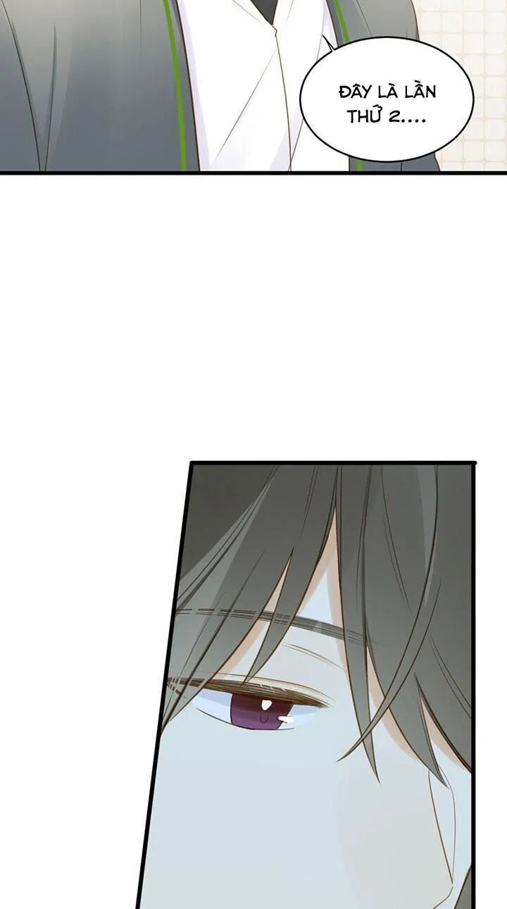 Sinh Hạ Long Chủng: Chapter 104: Thần bảo vệ của tôi
