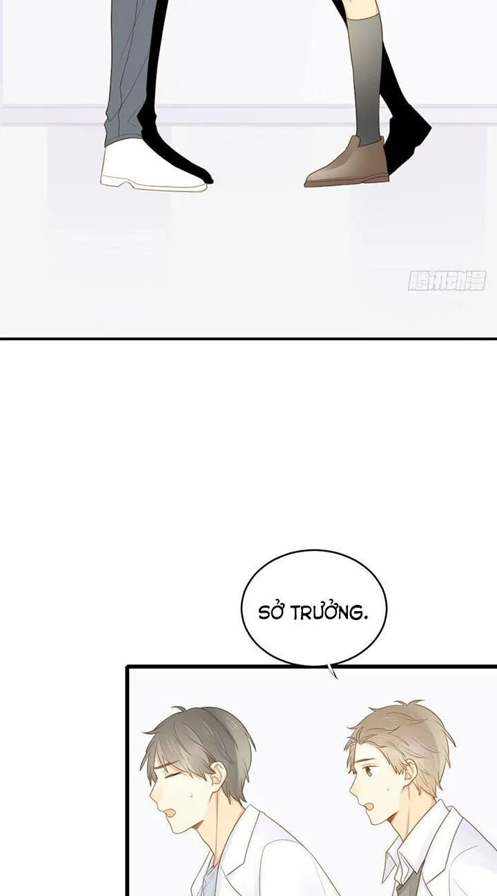 Sinh Hạ Long Chủng: Chapter 105: Quá khứ của Kim Long