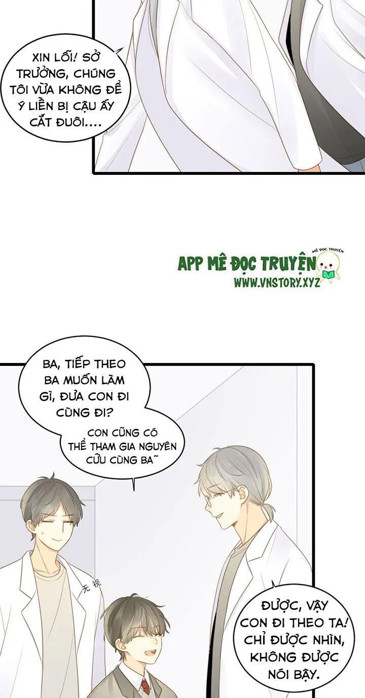 Sinh Hạ Long Chủng: Chapter 105: Quá khứ của Kim Long
