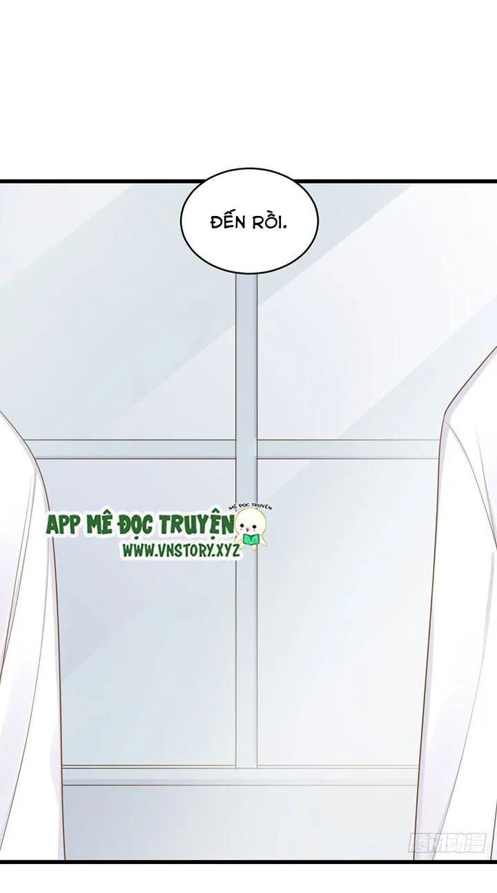 Sinh Hạ Long Chủng: Chapter 105: Quá khứ của Kim Long
